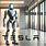 Elon Musk Humanoid Robot
