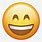 Emoji Icons iPhone