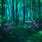 Enchanted Forest Desktop