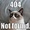 Error 404 Not Found Meme