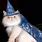 Evil Wizard Cat Meme