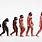 Evolution of Human Body