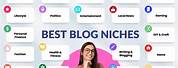 Example of Niche Blogging