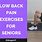 Exercises for Back Pain for Seniors