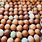 Farm Fresh Chicken Eggs