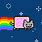 Fat Nyan Cat