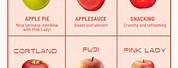 Favorite Apple Types
