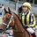 Female Jockeys Horse Racing