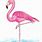 Flamingo Draw
