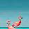 Flamingo Phone Wallpaper