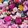 Flowers Wallpaper iPhone X