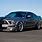 Ford Mustang GT500 2005