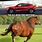 Ford Mustang Mach E Memes