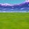 Fortnite Grass Background