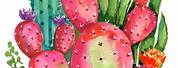 Free Cactus Watercolor