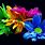 Free Colorful Flower Wallpaper