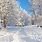 Free Winter Background Themes