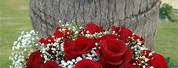 Fresh Red Rose Wedding Bouquet