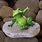 Frog Decorations for Home
