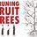 Fruit Tree Pruning Chart
