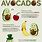 Fun Facts About Avocados
