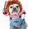 Funniest Dog Costumes