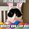 Funny Animal Memes Easter
