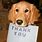 Funny Animals Saying Thank You