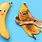 Funny Banana Peel