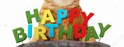 Funny Cat Happy Birthday Cake