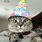 Funny Cat Happy Birthday Party