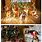 Funny Dog Christmas Memes