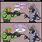 Funny Halo Pictures