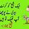 Funny Jokes Urdu SMS