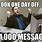 Funny Office Email Memes
