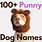 Funny Pet Names