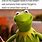 Funny Relatable Memes Kermit