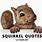 Funny Squirrel Sayings