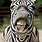 Funny Zebra Face