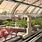 Futuristic Greenhouse Design