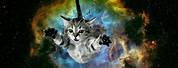 Galaxy Cat Wallpaper 4K
