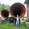 Giant Horn Speaker