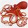 Giant Octopus Clip Art