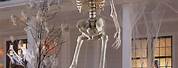 Giant Skeleton Halloween Decoration