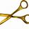 Gold Hair Scissors