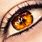 Golden Brown Eye Color