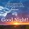 Good Night Bible
