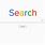 Google Search Engine Searching