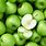 Green Apple Varieties