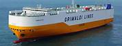 Grimaldi Shipping Line